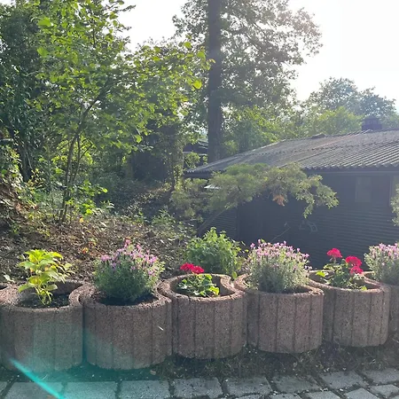 Loreley Hideaway Bogel