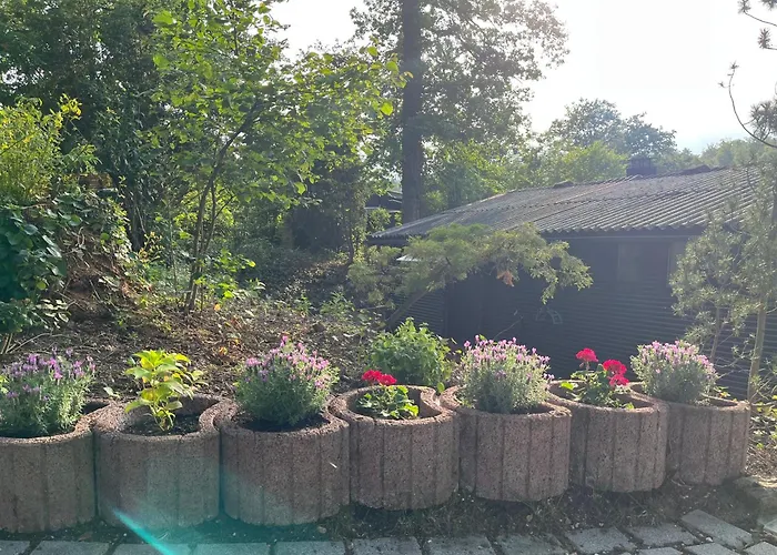 Loreley Hideaway Bogel