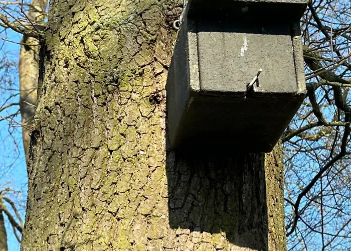 Loreley Hideaway Vakantiehuis Bogel